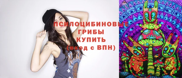 меф Арсеньев